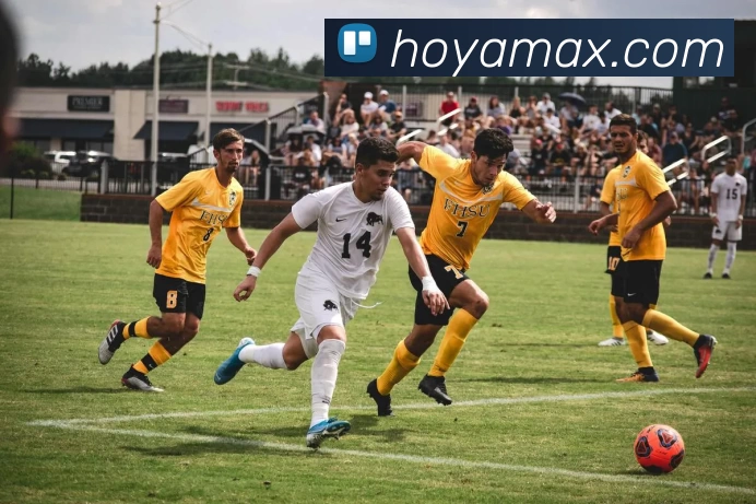 多媒体互动体验